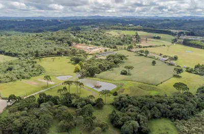 Chácara / sítio com 11 quartos à venda na Rua Coronel Monteiro, 100, Butiá, Campina Grande do Sul