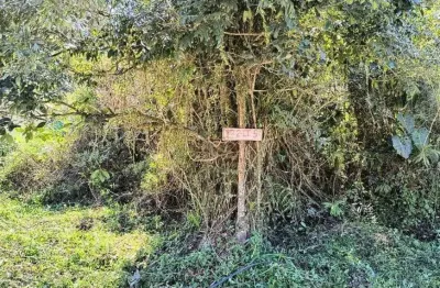 Terreno à venda no Balneário Gaivota, Itanhaém 