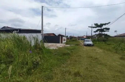 Terreno para venda no bairro gaivota, localizado na cidade de itanhaém / sp.