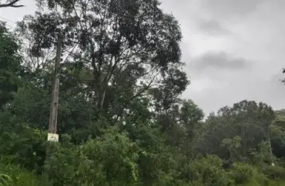 Terreno de chácara no bairro parque real, em itanhaém, litoral sul de são paulo