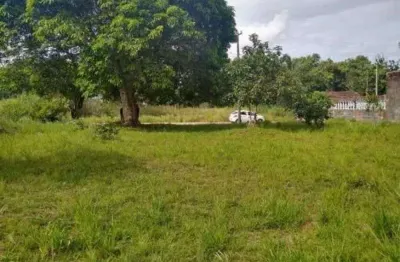 Lote na fazenda são joão, em peruíbe, lado praia, acesso não pavimentado
