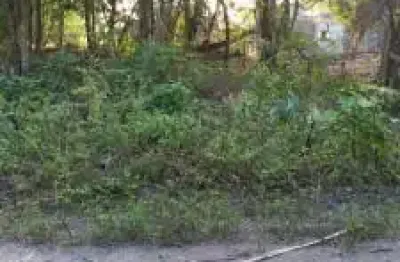 Terreno lado serra á aproximadamente 250 metros da rodovia no jardim marambá 2, em itanhaém, litoral sul de são paulo.