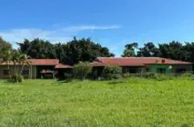 Vendo fazenda em ribas do rio pardo toda formada para lida com gado