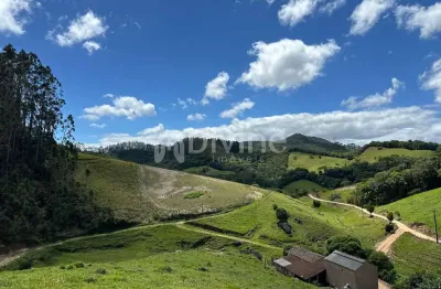 Chácara / sítio com 4 quartos à venda no Centro, São Martinho 