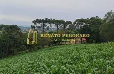 Terreno à venda na ÁRea Rural, Zona Rural, Pinhalzinho