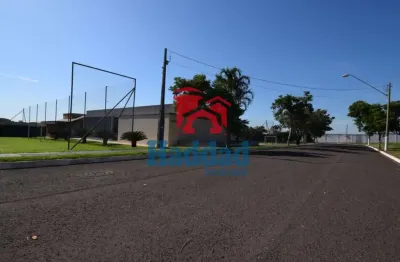 Terreno à venda no Centro, Birigui 