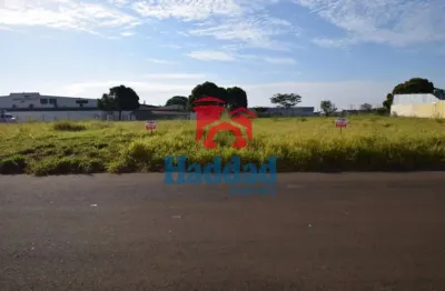 Terreno comercial à venda no Centro, Birigui 