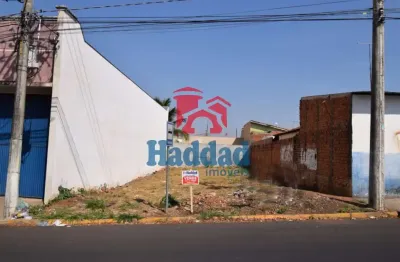 Terreno comercial à venda no Centro, Birigui 