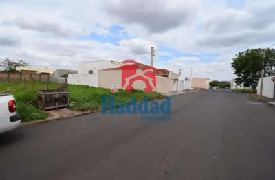 Terreno comercial à venda no Centro, Birigui 