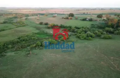 Imóvel com Alto Potencial de Valorização! AREA 124.000 m², ANEXA A CIDADE DE BIRIGUI SP