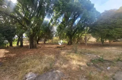 Terreno à venda no Maria Áurea, Pindamonhangaba 