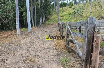 Sítio à venda, 120000 m² por r$ 2.000.000,00 - luiz carlos - guararema/sp