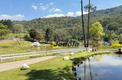 Sítio com 2 dormitórios à venda, 91000 m² por r$ 2.690.000 - ferreiras - nazaré paulista/sp