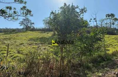 Terreno à venda, 11180 m² por r$ 500.000,00 - itaoca - guararema/sp