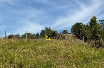 Terreno à venda, 20533 m² por r$ 600.000,00 - cerejeira - guararema/sp