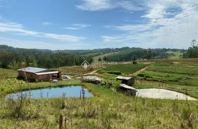 Sitio de 6 hectares na divisa de taquara com gravataí com 3 fontes 6 açudes 100% cultivável