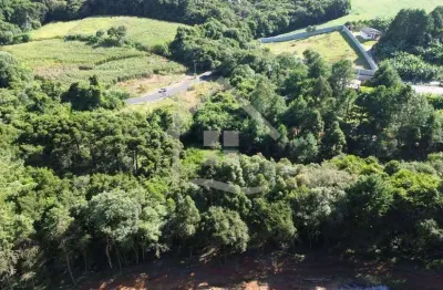 Chácara / sítio à venda na Travessa Francisco Lopes da Silva, 200, Botiatuva, Campo Largo
