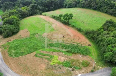 Chácara / sítio à venda na Travessa Francisco Lopes da Silva, 200, Botiatuva, Campo Largo