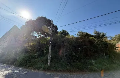 Terreno em condomínio fechado à venda na rua odília vieira de oliveira, 38, são dimas, conselheiro lafaiete por r$ 100.000