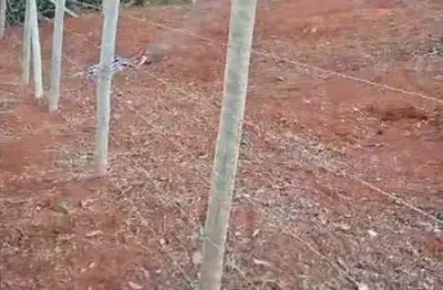 Chácara / sítio à venda na praça pimentel duarte, 1, bandeirinhas, conselheiro lafaiete por r$ 250.000