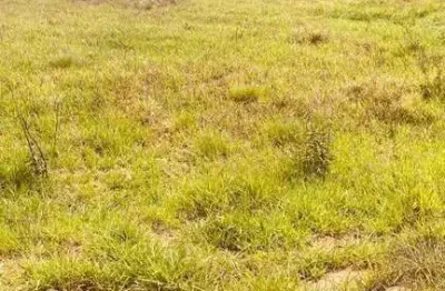 Terreno em condomínio fechado à venda na rua weslley júnior da silva, 06, monte cristo, conselheiro lafaiete por r$ 125.000