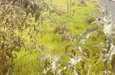 Terreno em condomínio fechado à venda na rua cleiber andrade, 27, monte cristo, conselheiro lafaiete por r$ 110.000