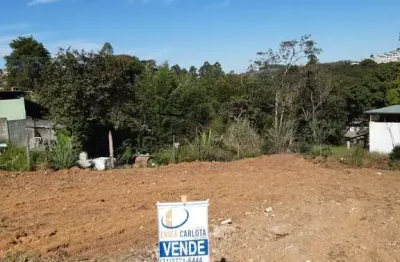Terreno à venda na rua geraldo baêta barbosa, 8, amaro ribeiro, conselheiro lafaiete por r$ 100.000