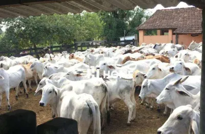 Fazenda perobas - oportunidade única de investimento em araruama/rj 1258400 mts