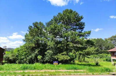 Terreno à venda no Linha Santa Cruz, Santa Cruz do Sul 