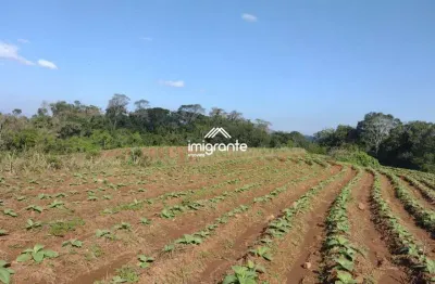 Chácara / sítio à venda na Área Rural de Santa Cruz do Sul, Santa Cruz do Sul 