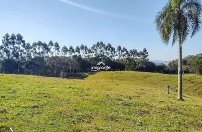 Chácara / sítio com 1 quarto à venda no Centro, Santa Cruz do Sul 