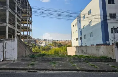 Terreno à venda, 313 m² por r$ 260.000 - residencial greenville - poços de caldas/mg