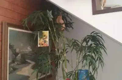 Casa em condomínio fechado à venda no Vale Feliz, Teresópolis 