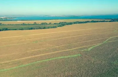 Fazenda na beira da represa, com 300 alqueires, plantando soja e milho, com aptidão para smart city, em Sertaneja - PR