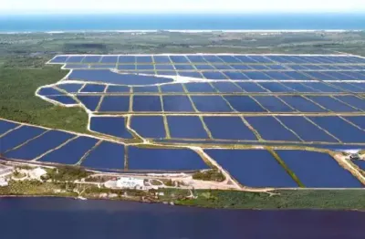 Mega fazenda de camarão no litoral norte da bahia com 1.560 hectares - maricultura