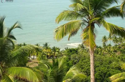 Terreno à beira-mar com vista panorâmica, nascente e praia privativa - uruçuca, ba