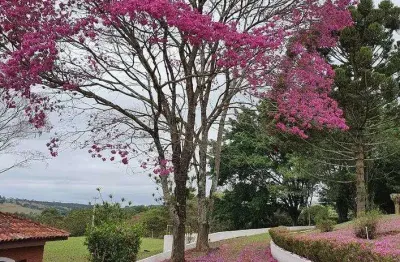 Sítio cinematográfico à venda | 20.000 m² | estrutura completa | alto padrão | vista panorâmica