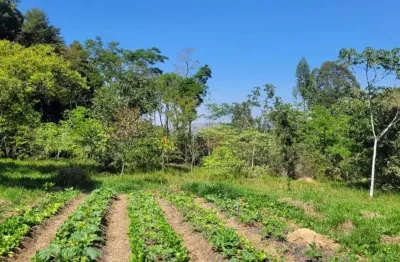 Sítio à venda em campo limpo paulista | 30.000 m² | apto para produção orgânica | estrutura completa