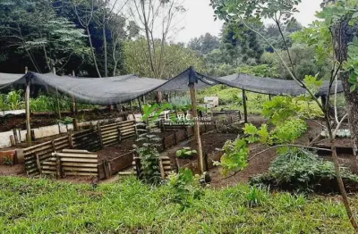 Chácara para venda em tibagi, area rural, 2 dormitórios, 3 banheiros, 1 vaga