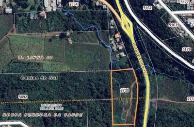 Terreno à venda na Rodovia ERS-122, Linha 40, Caxias do Sul