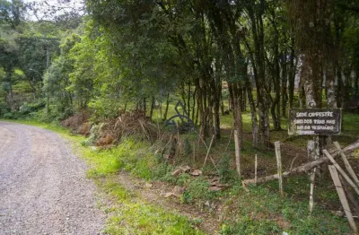 Terreno à venda em caxias do sul: localização privilegiada no bairro serrano.