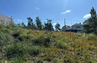 Terreno para venda em são luiz, caxias do sul - oportunidade imperdível!