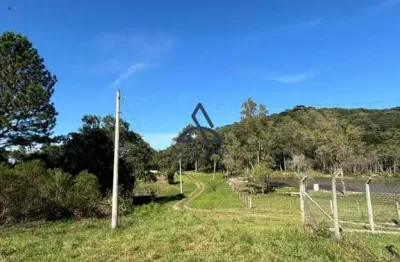 Chácara / sítio à venda na São Roque, Fazenda Souza, Caxias do Sul