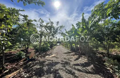 Chácara / sítio com 3 quartos à venda na Rua Dos Ipés, Alto da Boa Vista, Foz do Iguaçu