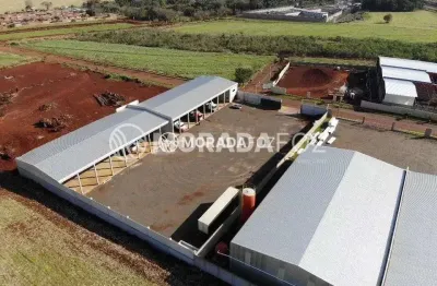 17 barracões a 5 minutos da marginal da br 277 com área de terreno 5.100 m² - 0039