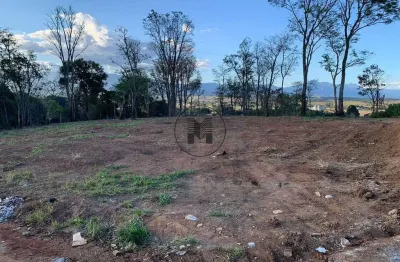 Terreno à venda, 111000 m² por r$ 220.000 - chácaras piagui - guaratinguetá/sp