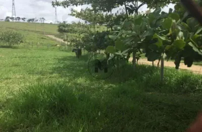 Terreno à venda, 5300 m² por r$ 510.000,00 - clube dos quinhentos - guaratinguetá/sp