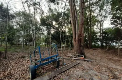 Terreno à venda, 37000 m² por r$ 2.500.000,00 - vila rosa - guaratinguetá/sp