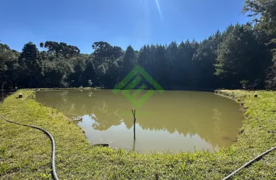 Chácara completa com 4 tanques de peixes e 64.556m² à 40km de curitiba-pr
