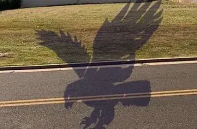 Terreno em condomínio fechado à venda na rua josé peressinoto, alphaville dom pedro 2, campinas por r$ 1.460.000